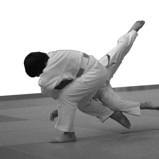 compétition de judo